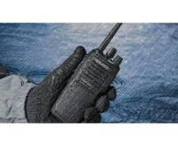 آگهی رایگان