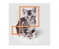 آگهی رایگان