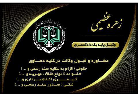 قبول وکالت و مشاور حقوقی توسط وکیل پایه یک