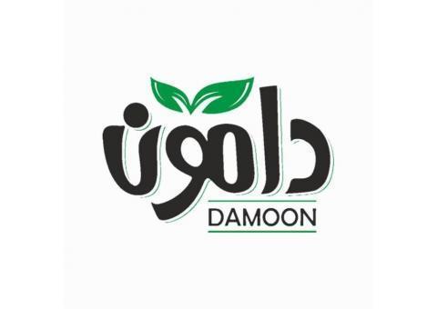 چای لاهیجان دامون