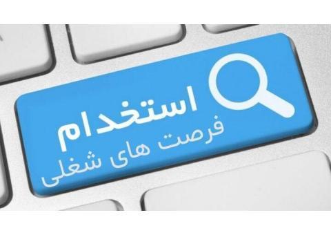 استخدام حسابدار بصورت غیرحضوری