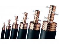 آگهی رایگان