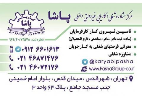 کاریابی پاشا