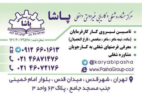 کاریابی پاشا