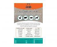 آگهی رایگان