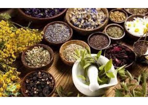 دوره آموزشی گیاهان دارویی در تبریز