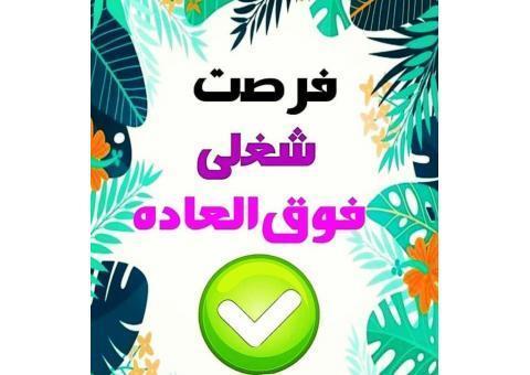 کسب درامد میلیونی درمنزل