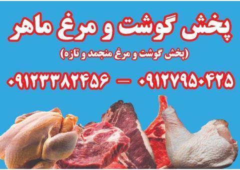 پخش عمده گوشت و مرغ (منجمد)ماهر
