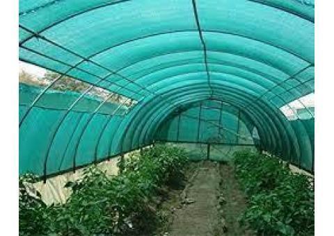 توری شید 09197443453