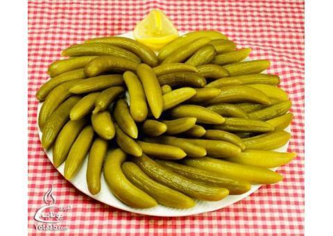 تولید و پخش محصولات خانگی