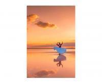 آگهی رایگان