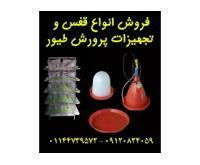 آگهی رایگان