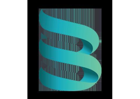 طراحی سایت و برنامه نویسی WEBBLUE