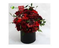 آگهی رایگان