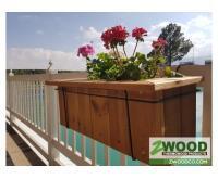 آگهی رایگان