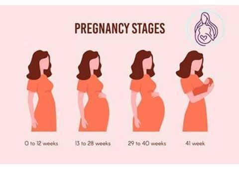 از بارداری تا زایمان با نورسته