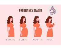 آگهی رایگان