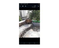 آگهی رایگان