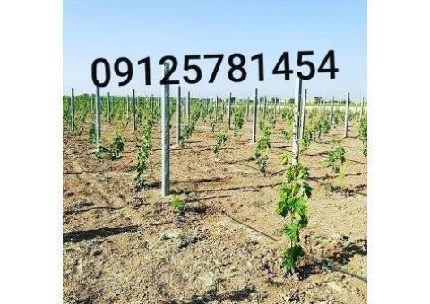 پایه بتونی فنس واجرای فنس کشی