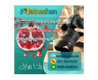 آگهی رایگان