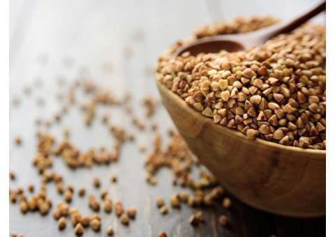 فروش عمده و خرده گندم سیاه و آرد گندم سیاه