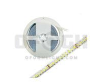 آگهی رایگان