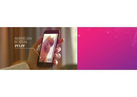 آی پت مشاوره درباره حیوانات خانگی