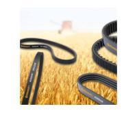 آگهی رایگان