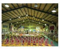 آگهی رایگان