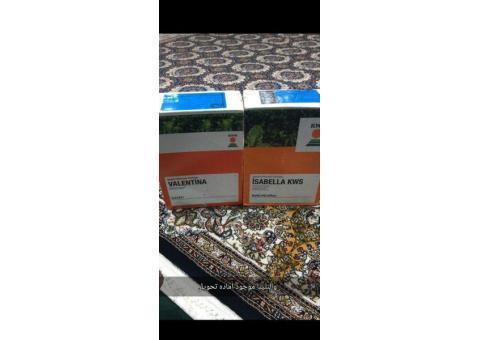 بذر چغندر قند