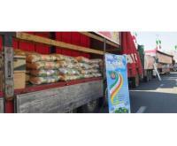 آگهی رایگان