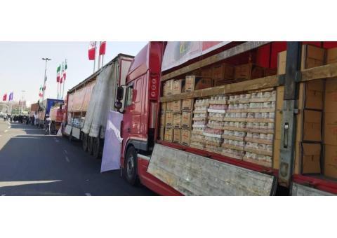 بنیاد بین المللی خیریه آبشار عاطفه ها