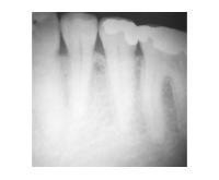 آگهی رایگان