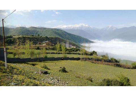 فروش چند قطعه زمین در بهشت مازندران (لشکنار)