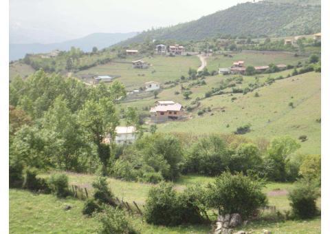 فروش چند قطعه زمین در بهشت مازندران (لشکنار)
