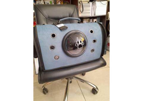 پت شاپ بانی نو