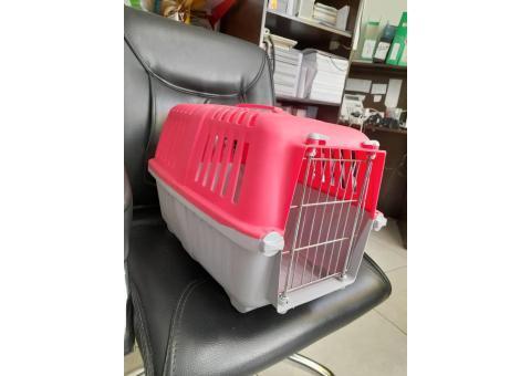 پت شاپ بانی نو