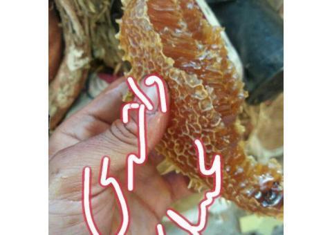 پخش محصولات محلی ایل سون گنبرف