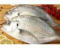 آگهی رایگان