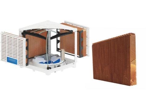 پدسلولزی کولری