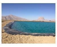 آگهی رایگان