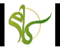 آگهی رایگان