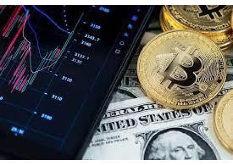 اسکریپت صرافی رمز ارز