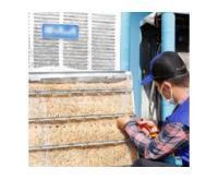 آگهی رایگان