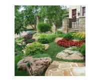 آگهی رایگان