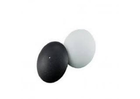 فروش تگ صدفیAM   در اصفهان