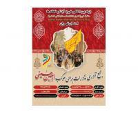 آگهی رایگان