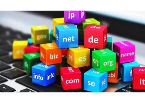 فروش دامنه های رند و برند