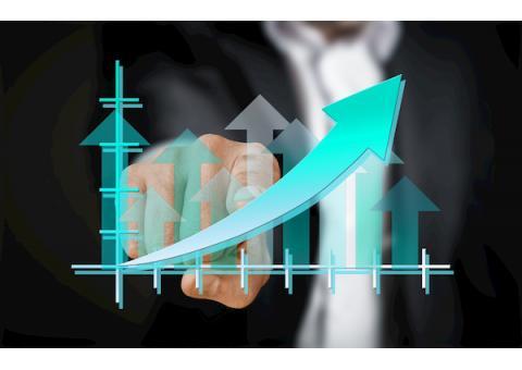 سرمایه گذاری