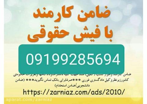 ضامن کارمند برای ضمانت فیش حقوقی برای زندانی